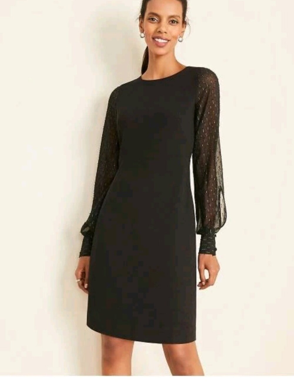 NWT Ann Taylor Black Sheer Shimmery Clip Long Sleeve Crew Neck‎ Shift Dress 12